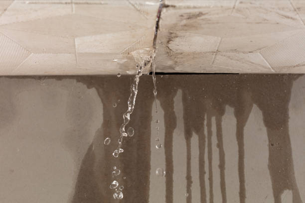 Professional Structural Drying technician working in Conway, MA